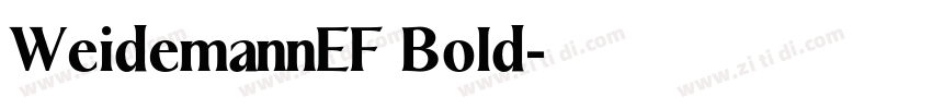 WeidemannEF Bold字体转换